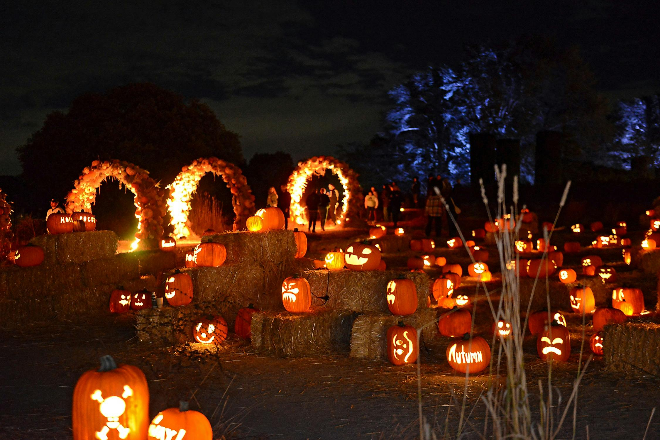 Nightfall at Filoli - Photo 1 of 5